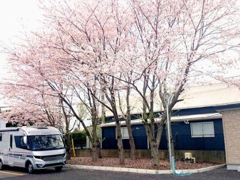 デルタサクラパーク第一駐車場　in 千葉