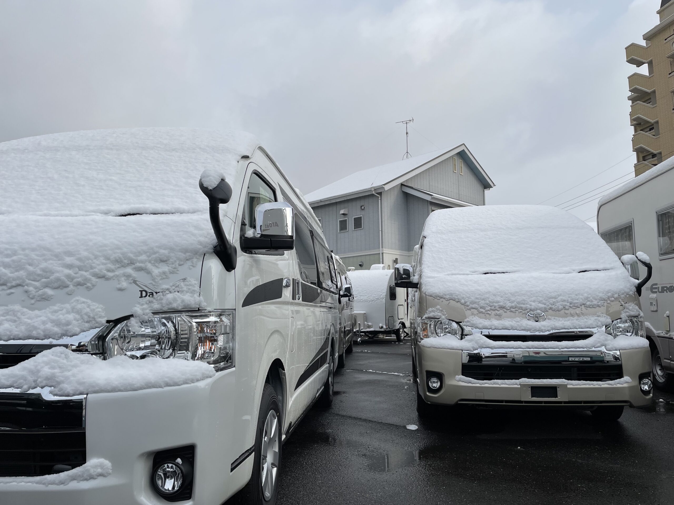 広島、雪降ってます